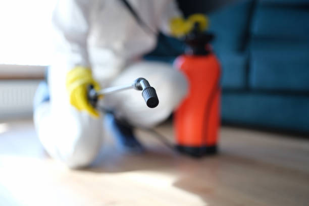 Trusted Fuller Heights, FL Mold Removal Experts